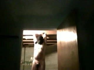 Crux HD Gay Man Man Porn XHamster