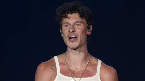 Shawn Mendes Reveals Truth About Sexuality In Candid Concert Speech Amid Gay Rumors Daily