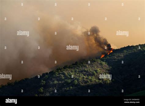 Forest Fire Brush Fire Forest Fires Brush Fires Stock Photo Alamy