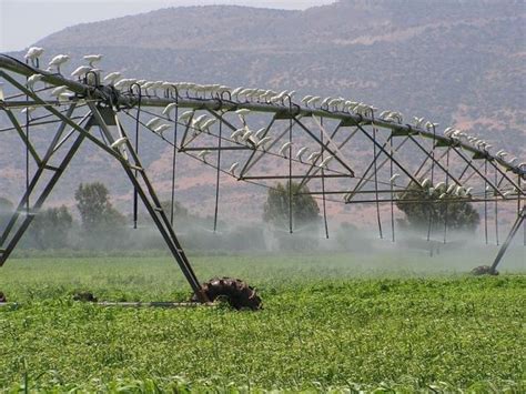 Agriculture In Israel: History and Current Agriculture Technologies