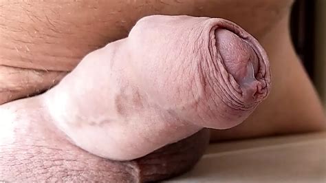 Free Gay Prostate Milking Porn Videos XHamster