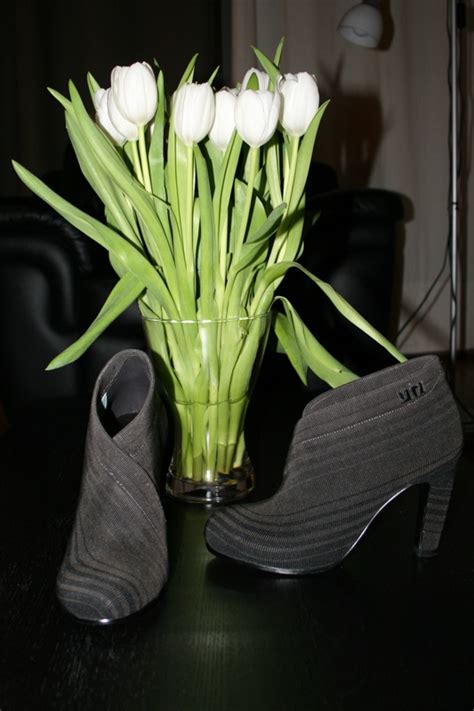 Las United Nude Fold Son M As Meliuli