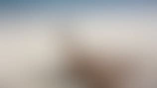 Vixen Model Has Incredible Passionate Sex On The Beach Vid Os Porno Gratuites Youporn