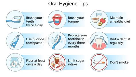 Top Oral Hygiene Tips For Healthy Teeth And Gums Stock Vector