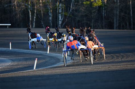 Training And Qualifying Schedule Adjusted At Woodbine Mohawk Park