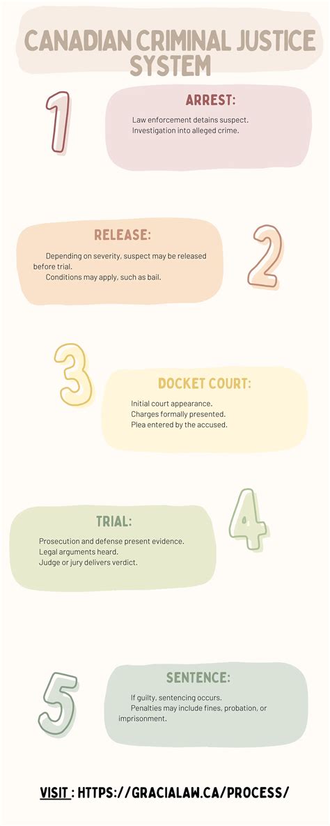 America's Courts And The Criminal Justice System 1
