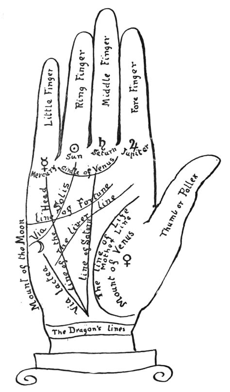face palmistry 4