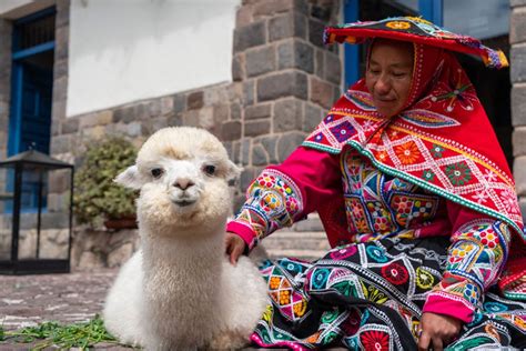 4 planes imperdibles para conmemorar el Día Nacional de la Alpaca