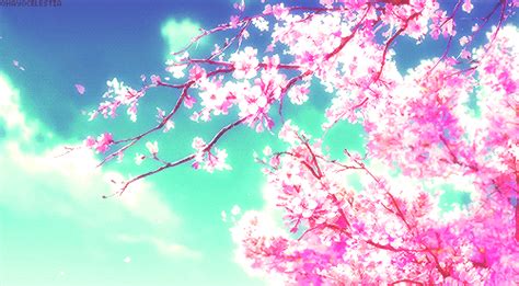 🌸Hanami🌸 | Japan Amino