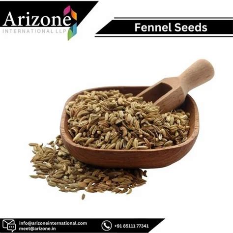 Arizone Green Fennel Seeds Spices Sauf Packaging Type Pp Liner Bag