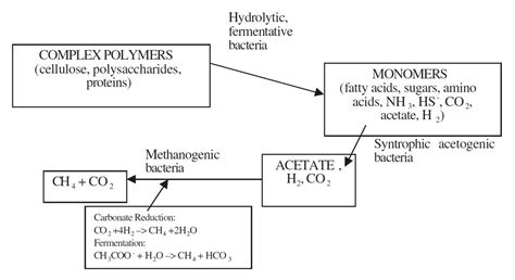 Methanogenesis