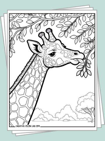 coloring pages  format  kids printable