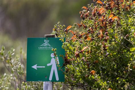 Grotto Bay Private Nature Reserve The Table Mountain Fund