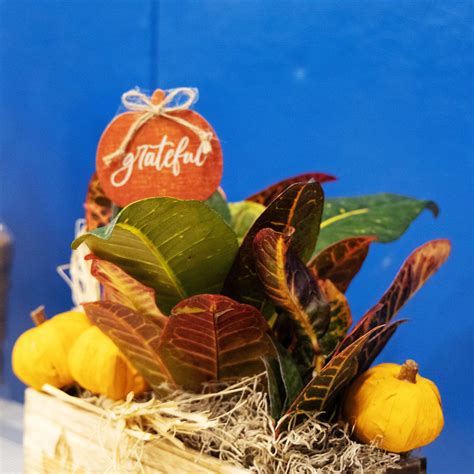 News Flash • Madison, CT • CivicEngage