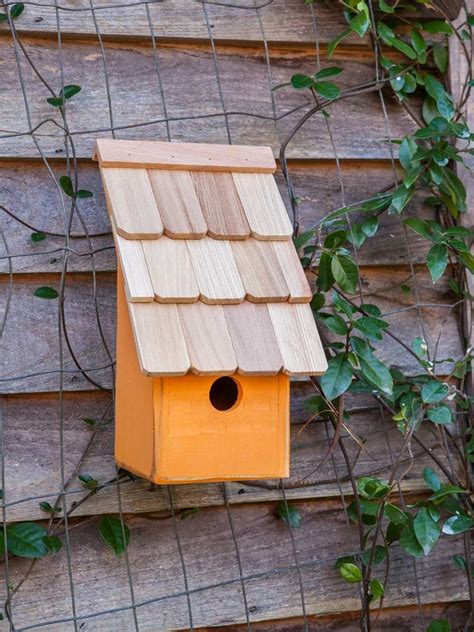 Heartwood Fruit Coops Bird House Gardener S Supply Homemade Bird