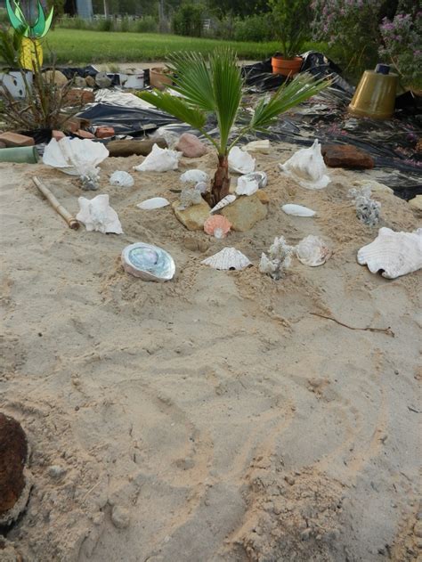 backyard beach backyard beach beach gardens backyard