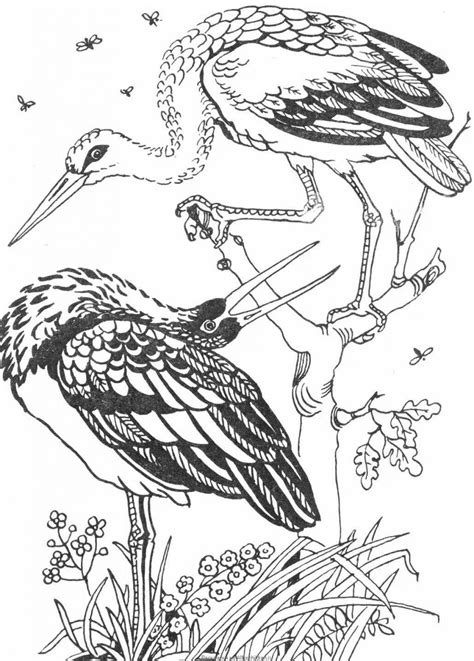 Распечатать раскраску журавли