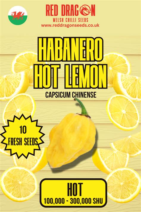 Habanero Triple Pack Seeds Habanero Hot Lemon Habanero Chocolate Habanero White Giant