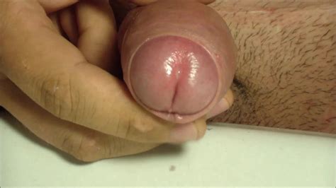 Megacyst Gay Porn Videos Sex Model Nudes Xhamster