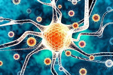 Langya Henipavirus symptoms and risks | by Tanmaynaskar | Medium
