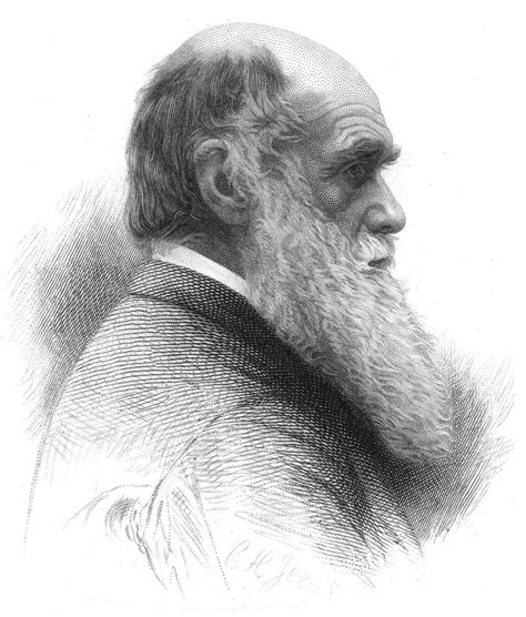 Academics debate if darwin and darwin got the evolution right 14