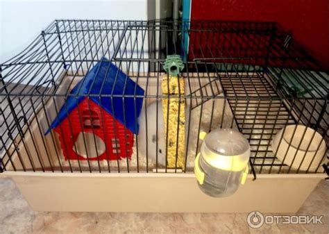 Отзыв о Клетка для мелких грызунов PetTails | Хорошая клетка для хомяка ...