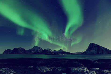 Aurora Boreale In Norvegia Fotografia Stock Immagine Di Naughty