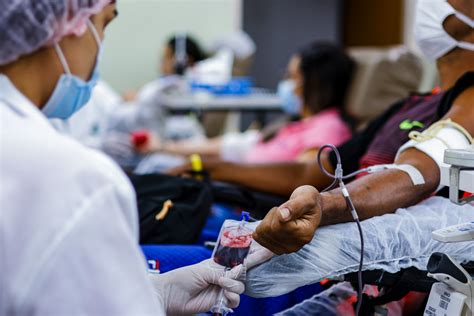 Hemoce lança campanha para engajar doação de sangue nas redes CIDADES