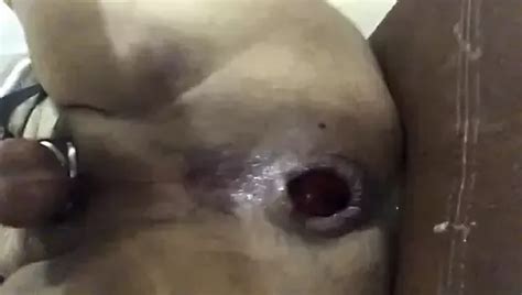 Close Up To My Dildo Gay Solo Solo Porn Feat Bottom Fist Mx XHamster