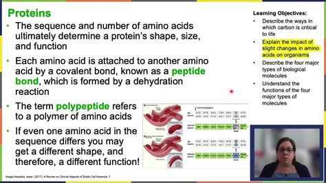 Openstax Concepts Of Biology Chapter 2 3 Part 4 Youtube