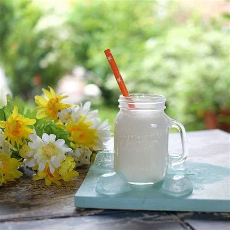 berkenalan  kefir susu fermentasi  kaya nutrisi