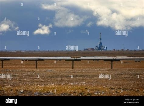 Oilfield Pipeline On The Alaska North Slope Tundra With Oil Drilling