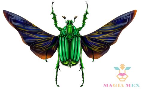 mayate  santiplantipaints  deviantart