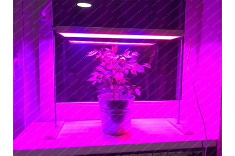 Купить фитосветильник Солнцедар Д-10 фито (красно-синий спектр) для ...