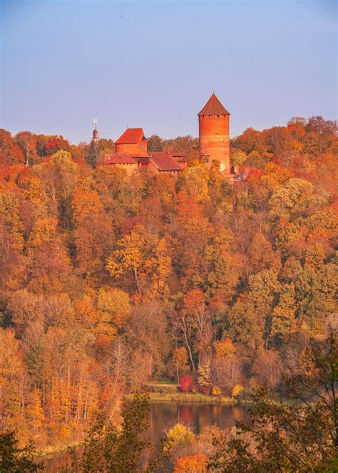 Why you should visit latvia in autumn lasma plone – Artofit
