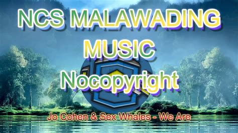 Jo Cohen Sex Whales We Are NCS Release MalaWading YouTube