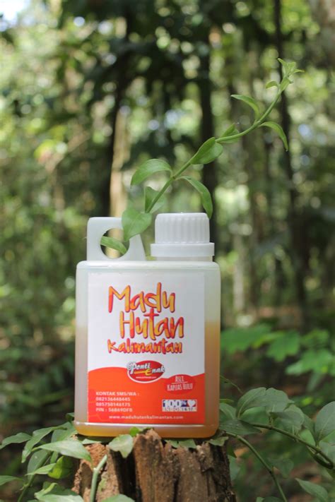 madu  kesehatan  kecantikan madu hutan kalimantan