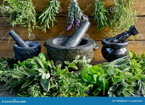 Свежие травы с минометом и пестиком против деревенской деревянной ...