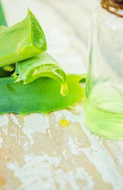 Aloe Vera Herbal Medicine Images Free Download On Freepik