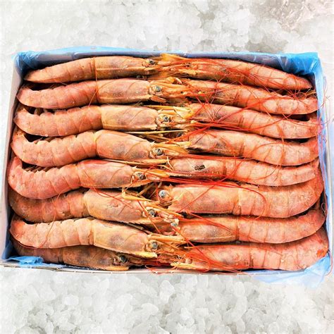 Argentinian Red Shrimps Whole Head on Raw Large ~ 2kg - Fisk