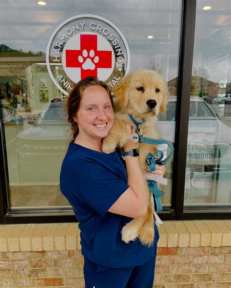 hope crossing animal hospital 1
