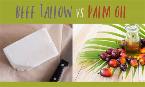 Beef Tallow vs Palm Oil: The Ultimate Verdict - The Coconut Mama