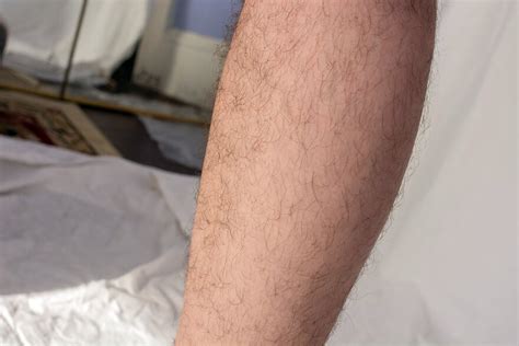 KisaFae Hairy Beard KisaFae Hairy Beard Porn Pic