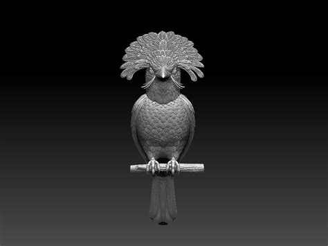 Artstation Amazonian Royal Flycatcher Bird Resources