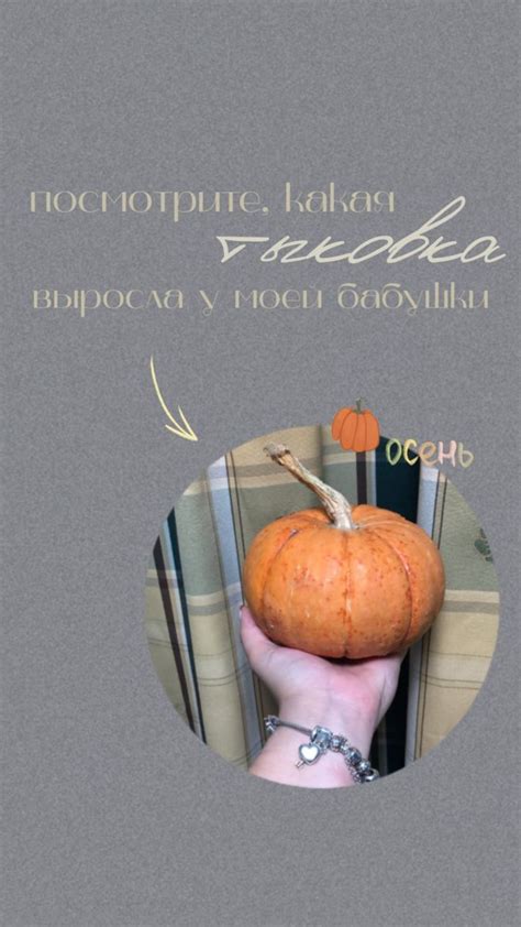 Оформление сторис идеи инстаграм | Place card holders, Instagram photo ...