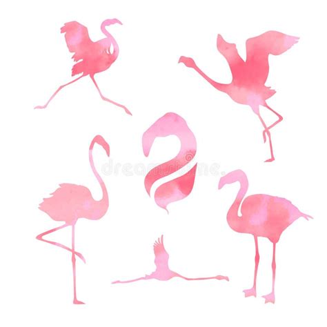 Flamingo Set Vector Stock Vector Illustration Of Silhouette 50927730