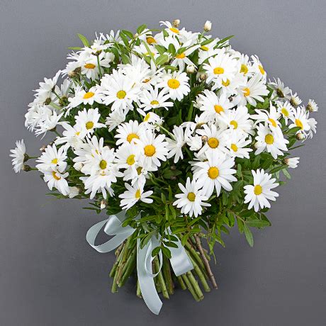 Букет ромашок - Доставка - Flowers De Lux