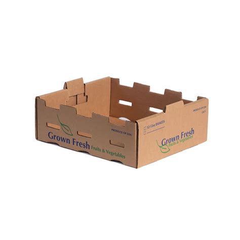 12 12oz Tray For Fruit And Veg Sambrailo Packaging