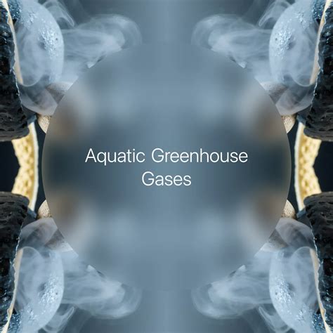 What Are Greenhouse Gases Tcs 4
