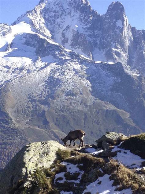 Travel French Skiing Destinations Within Driving Distance Jersey